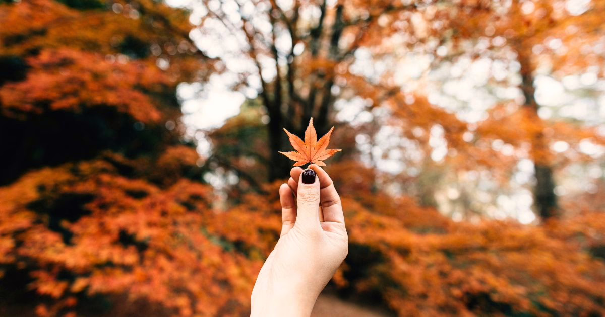 affordable fall vacation 1