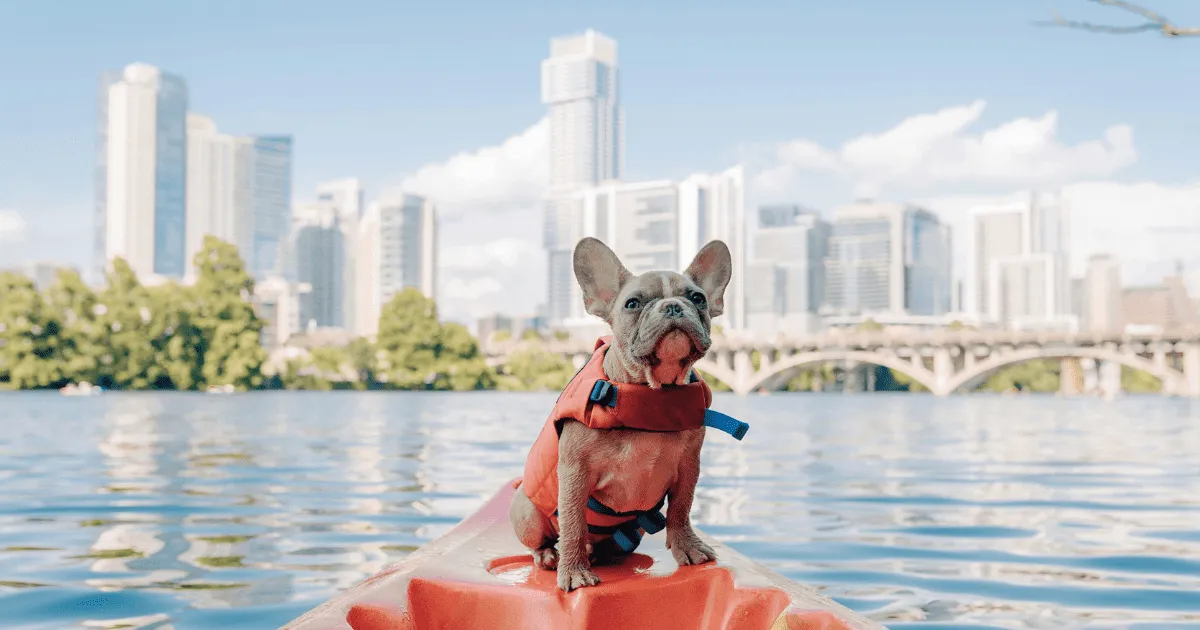 dog-friendly vacation