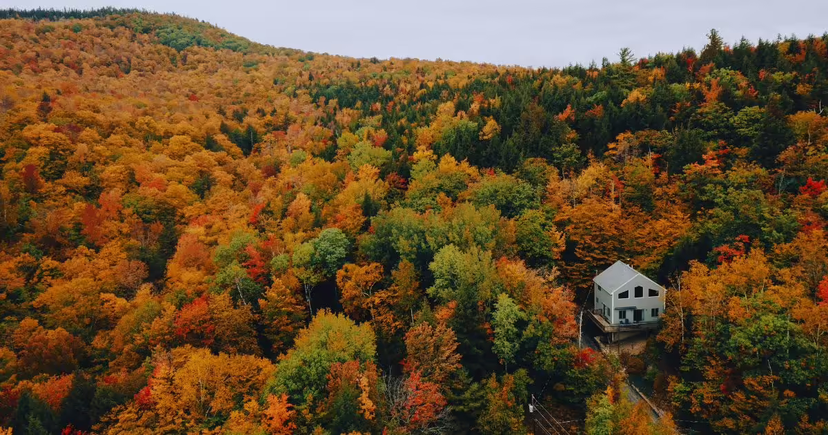 fall foliage in new england jpg