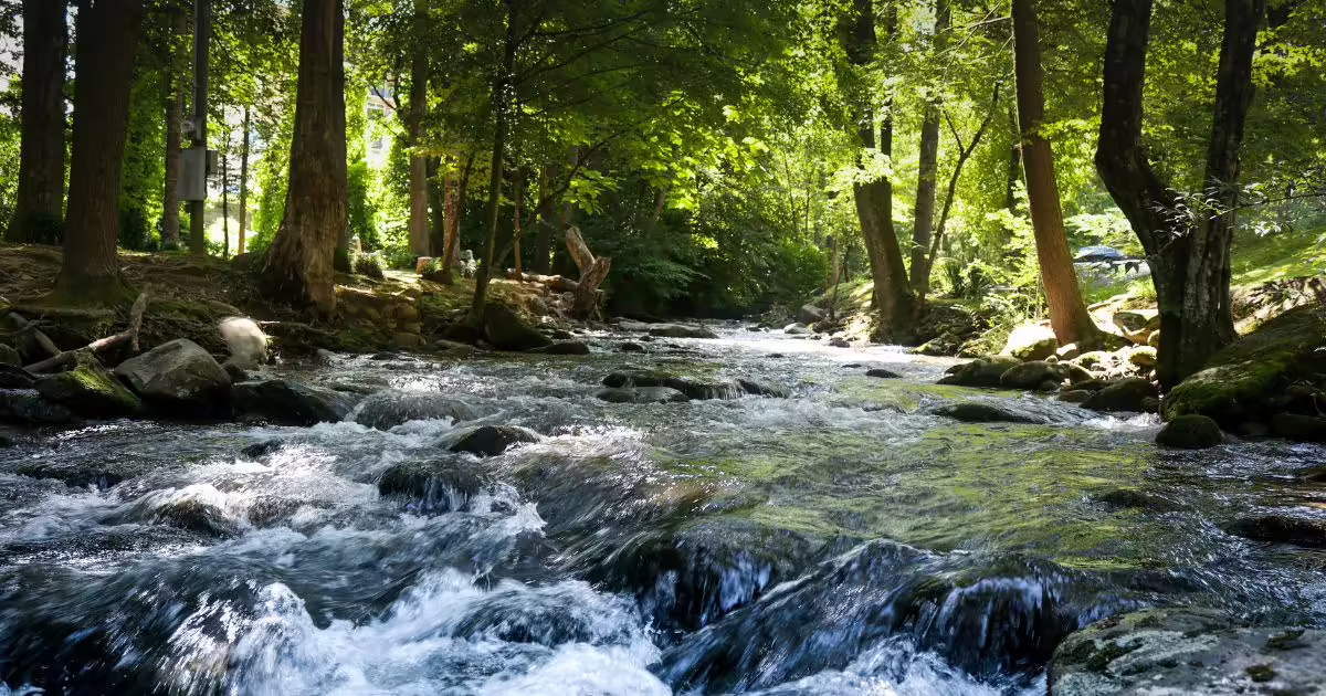 mountain retreats jpg