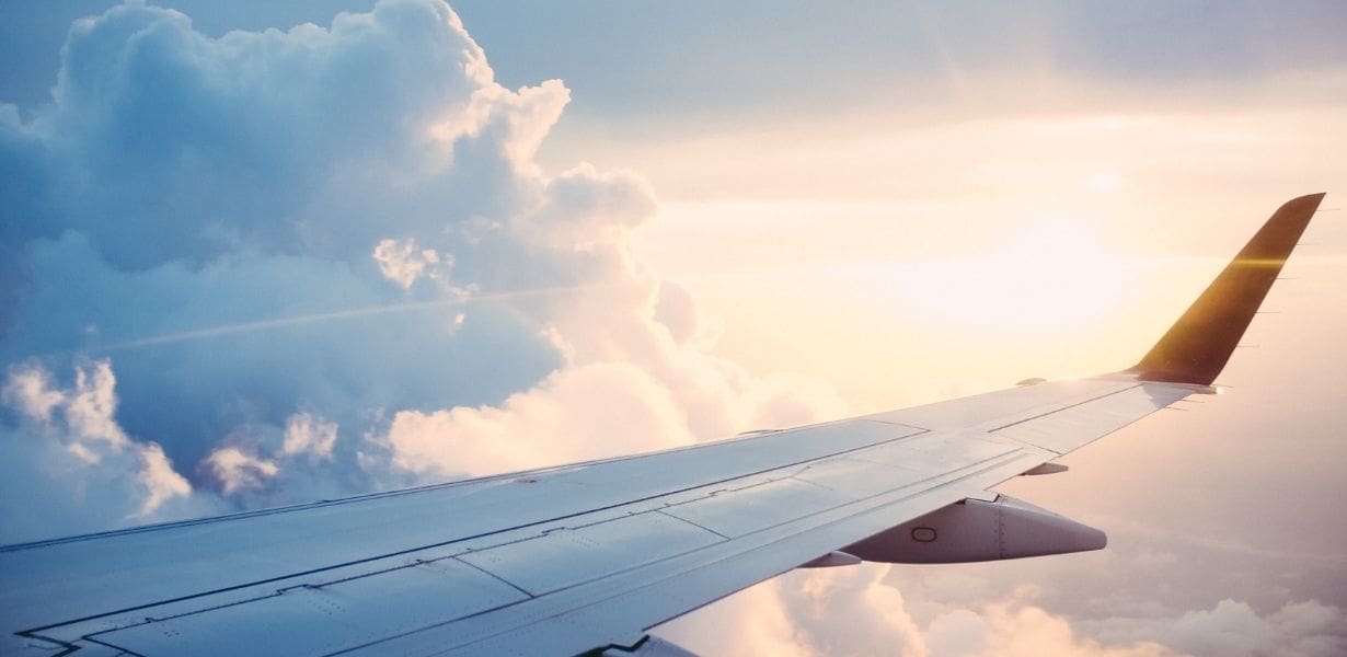 plane tsa guide