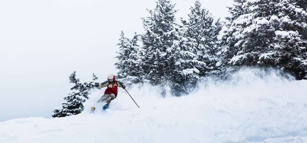 skier jackson hole