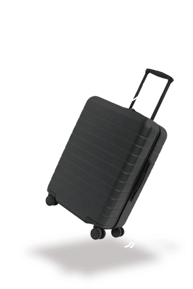 luggage shipping