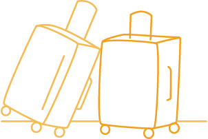 Standard bag