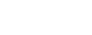 LugLess Logoprimiary white
