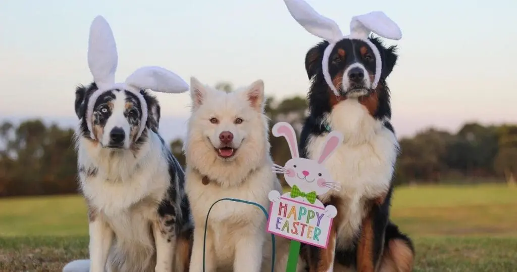 best places to fly for easter