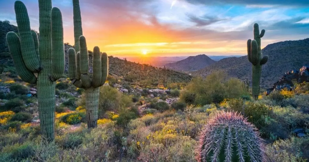 cities to visit in march