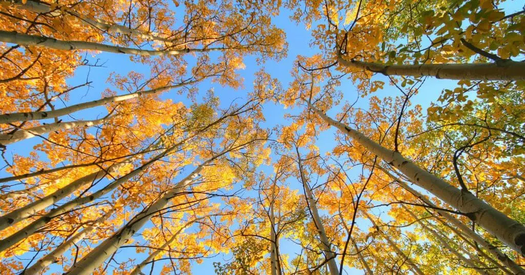 packing for a fall trip to new england