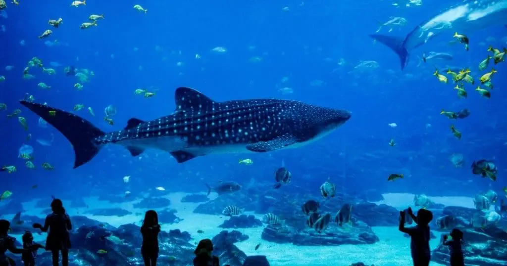 summer family vacation