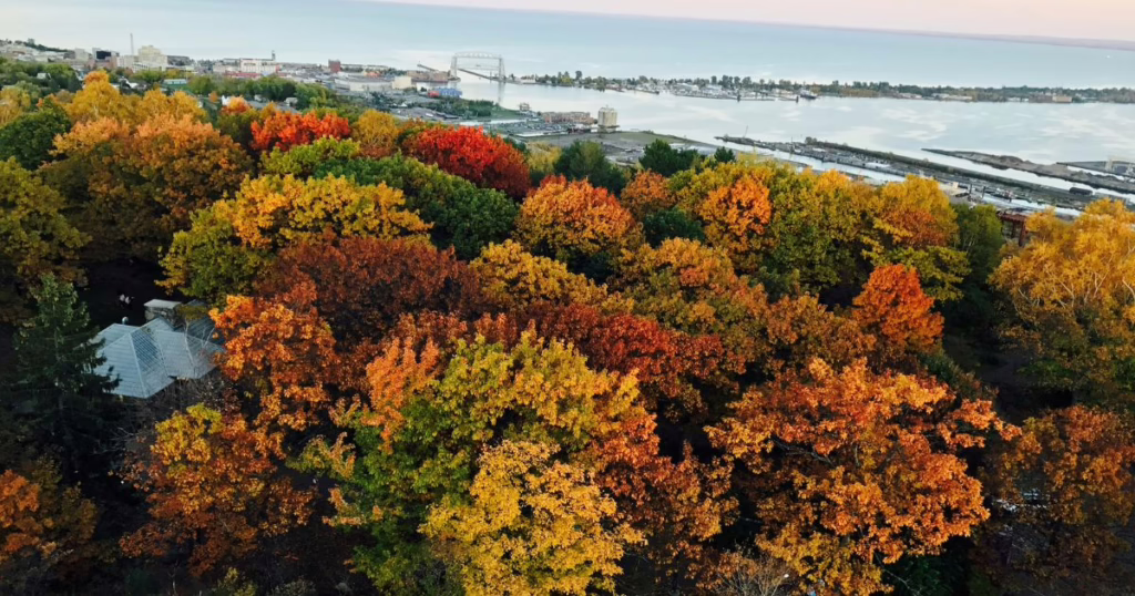 fall foliage trips